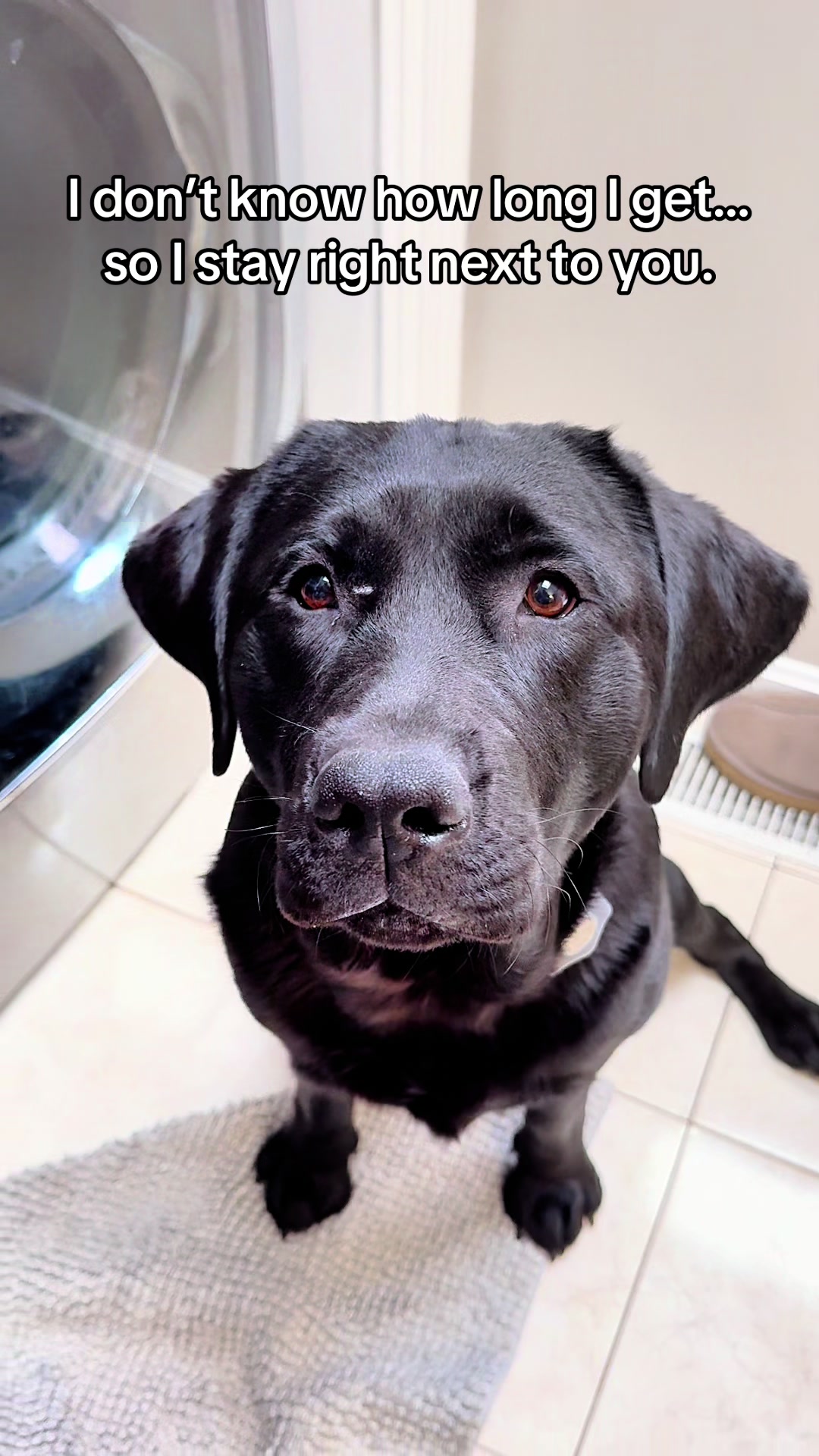 @DennisTheBlackLab