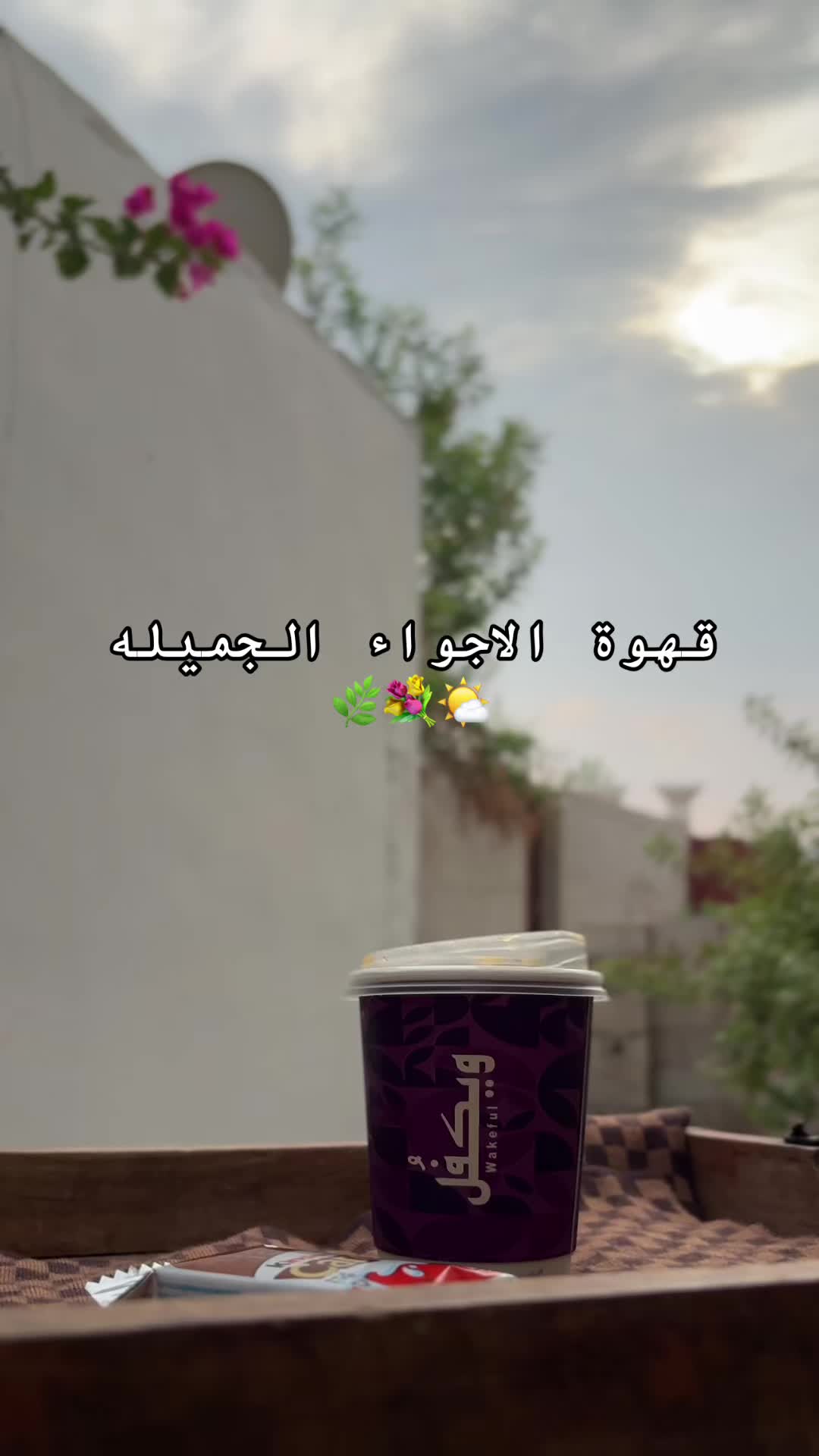 @عقيله هتان