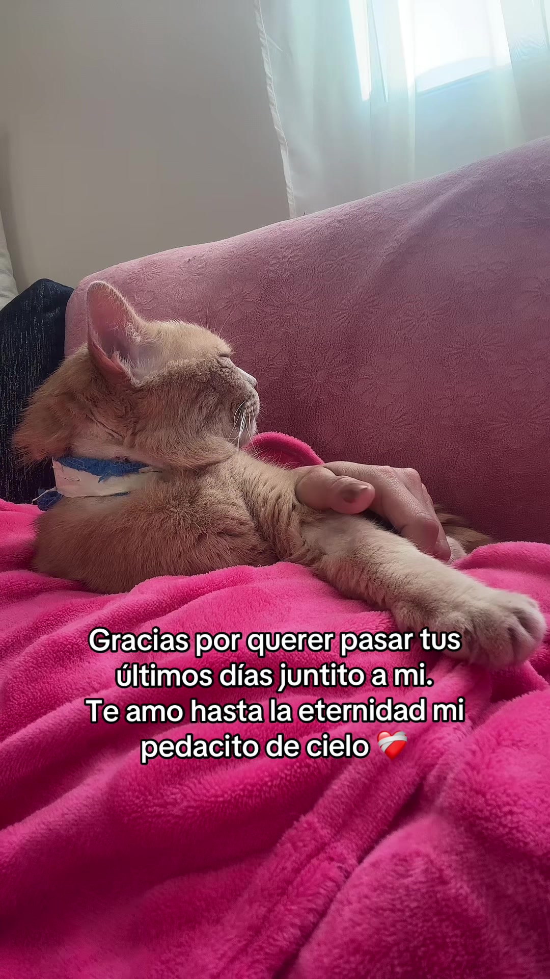 @Sandi