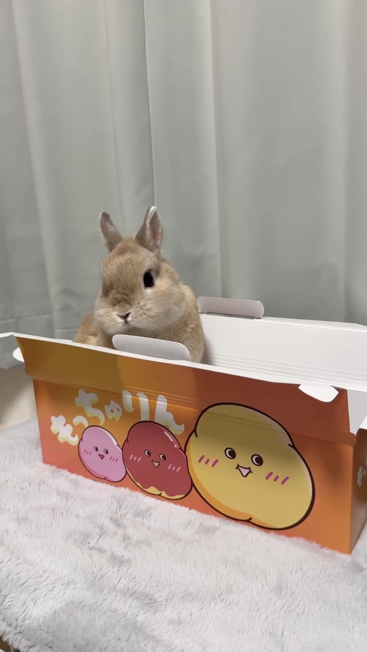 @うさぎのぷっしゅ