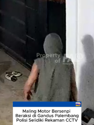 @Paltv-Memang Punyo Kito