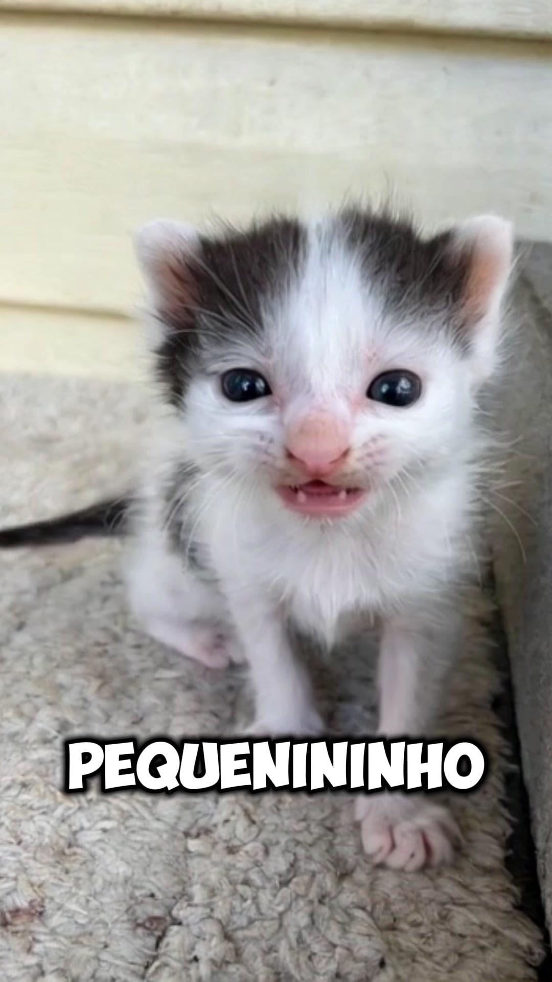 @Oii