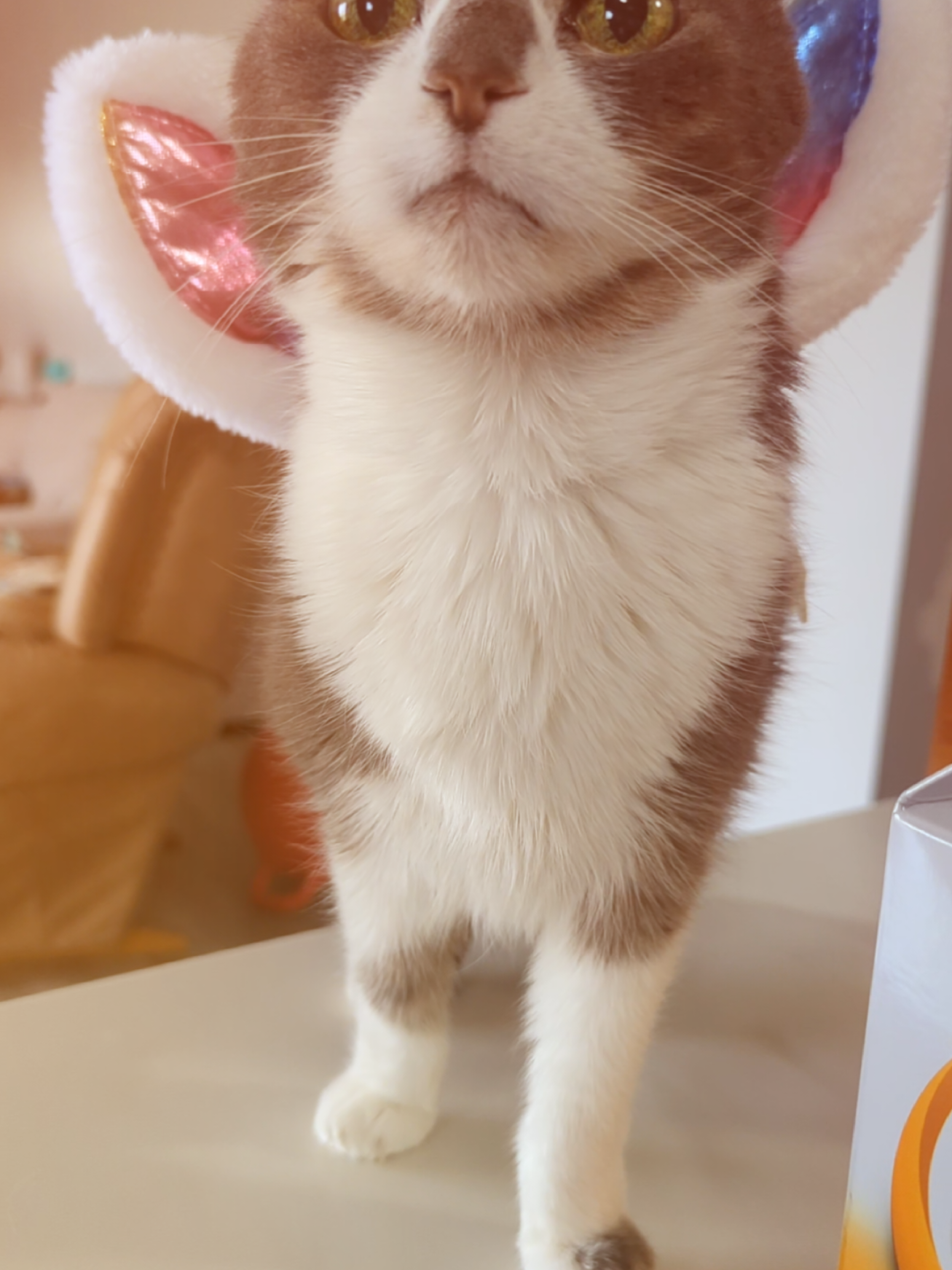 @otter_nonsense