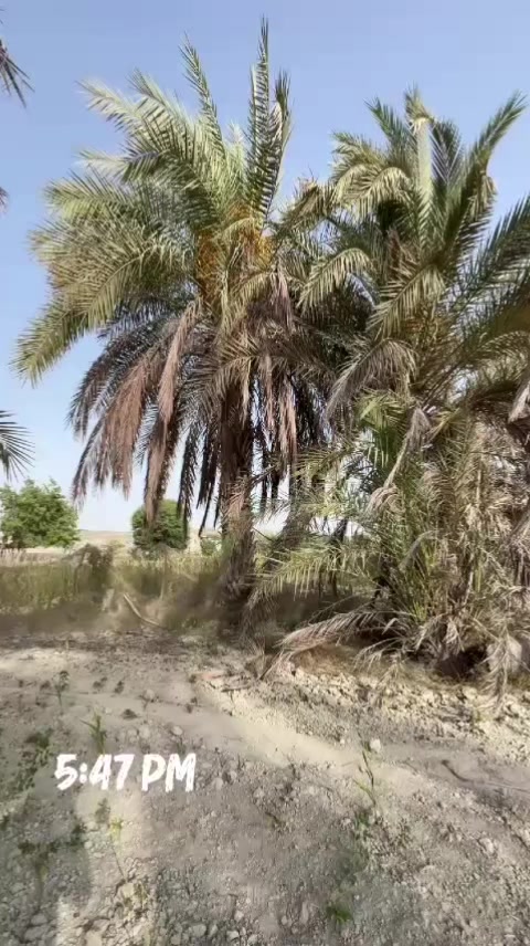 @ADIL YAQOOB