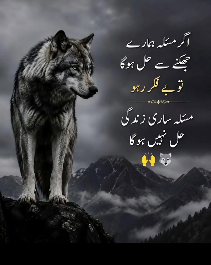 @Bakhtiar Afridi