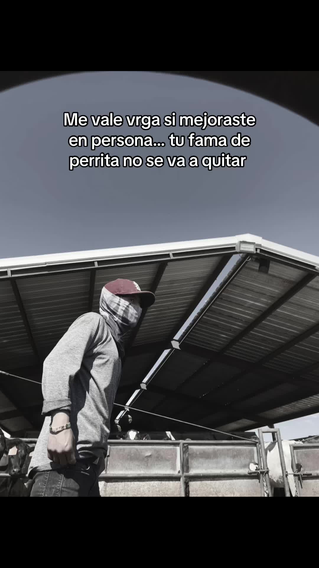 @👤CHRIS MJ 👤