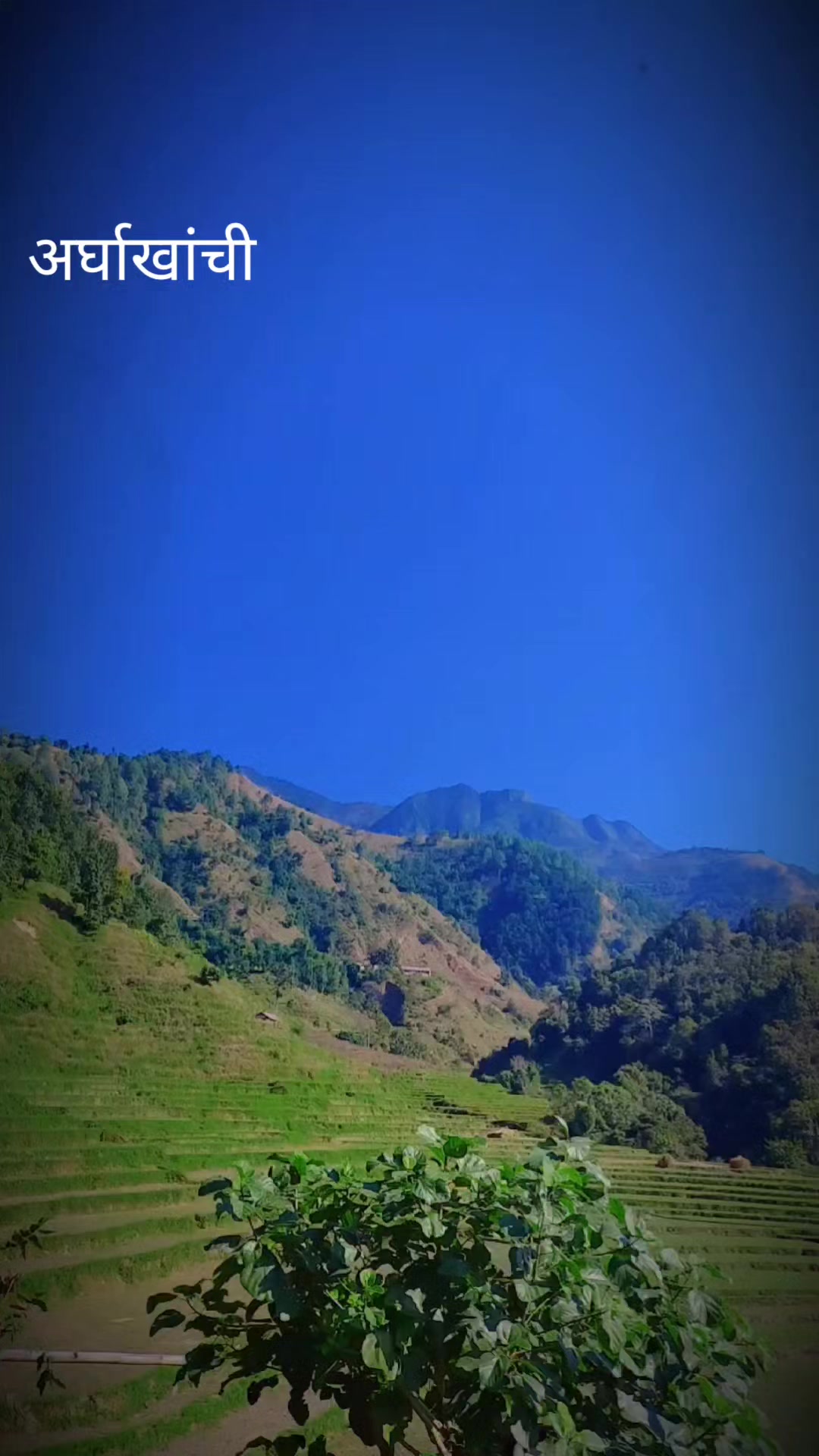 @बिष्णु थापा(अर्घाखांची) (कुवेत