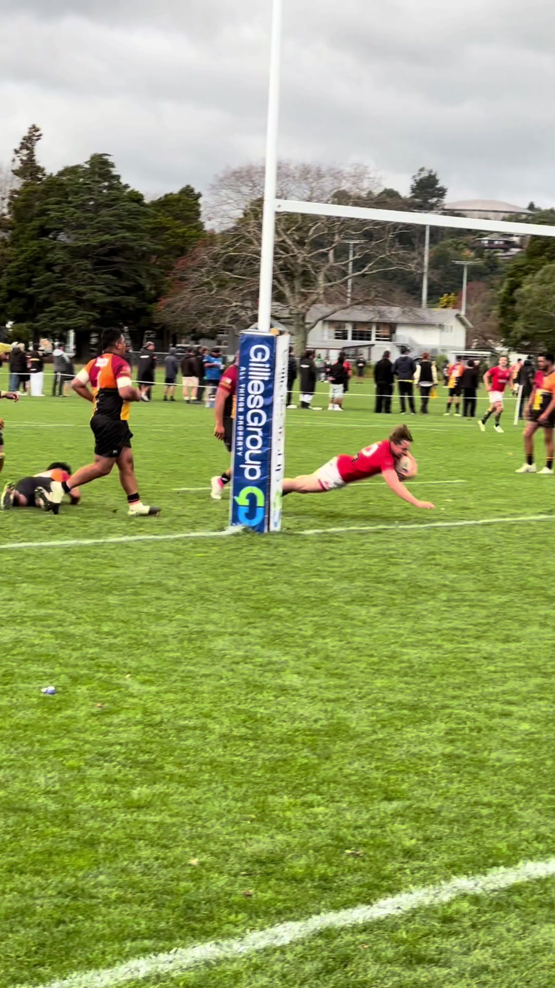 @msprugby