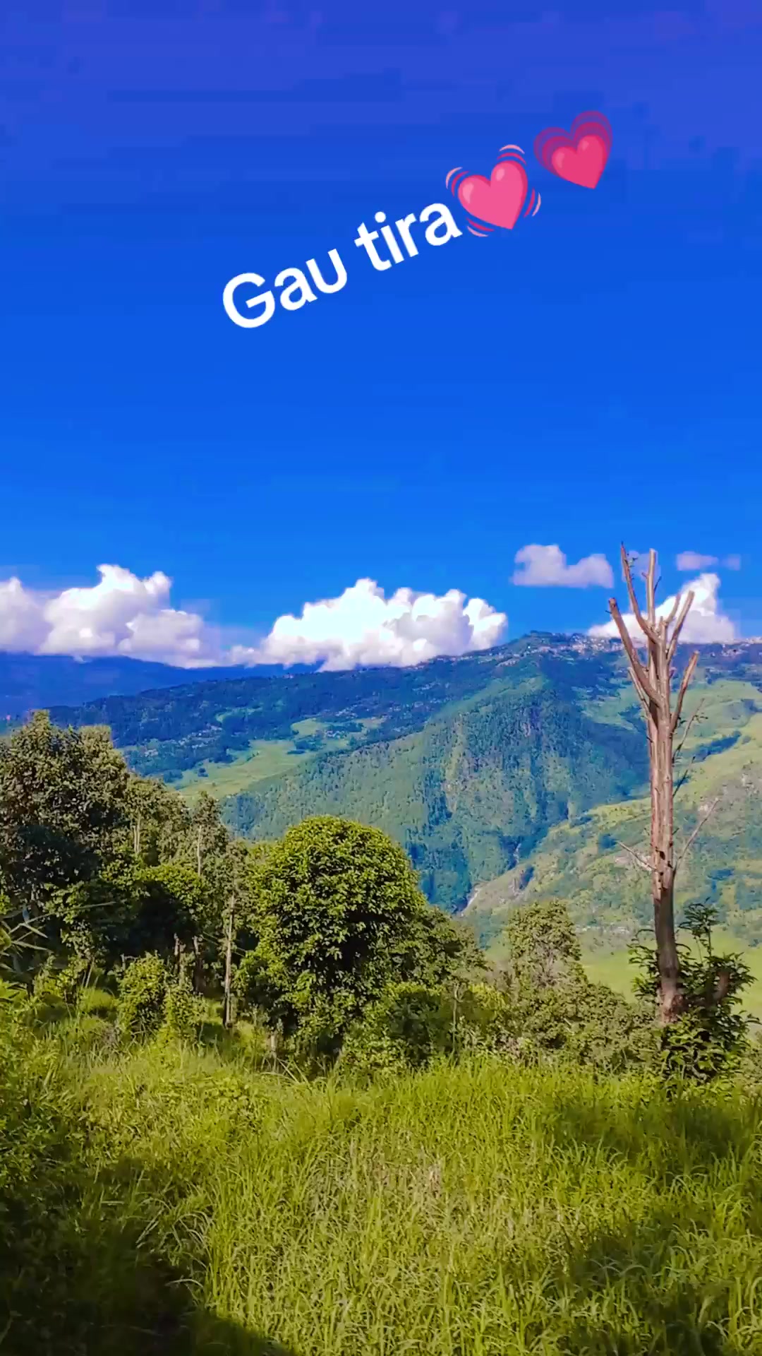 @Ganga Shrestha