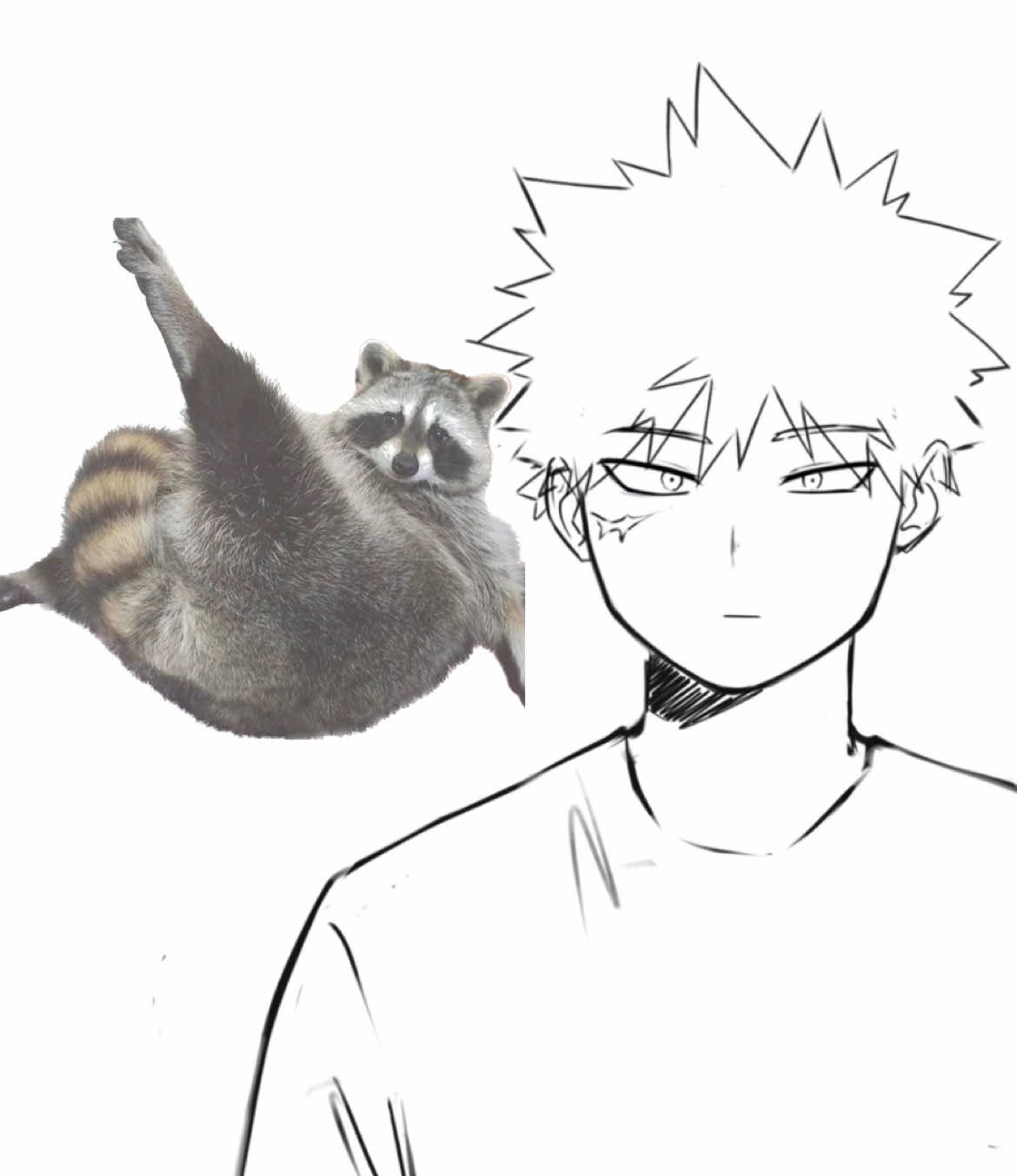 @Kurtsuki Cokugo