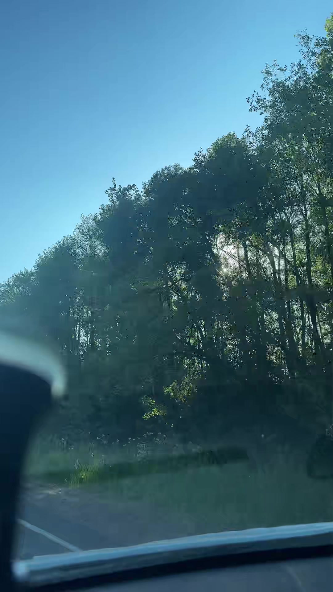 @Елена🇧🇾 Беларусь 🌺