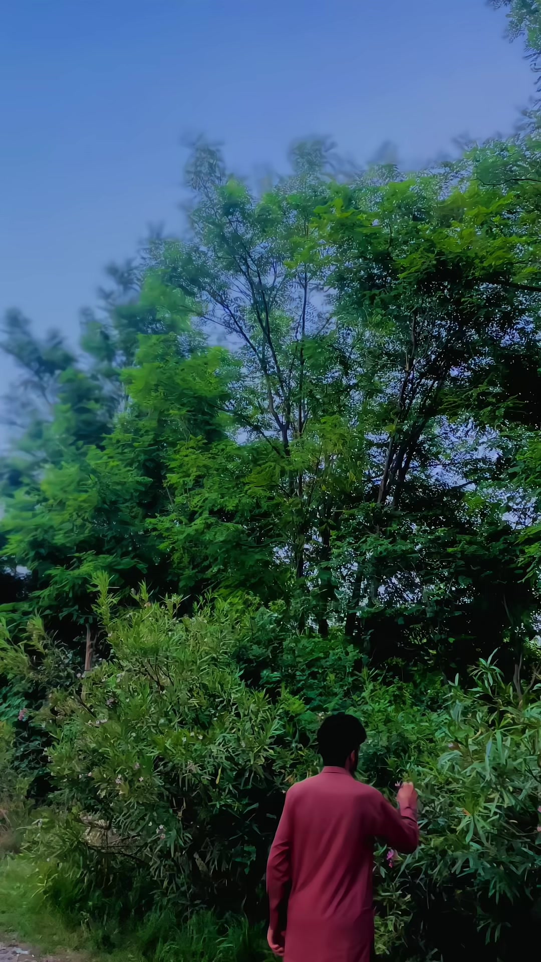 @𓆩𝐘 ᴛᴜʀɪ𓆪✪