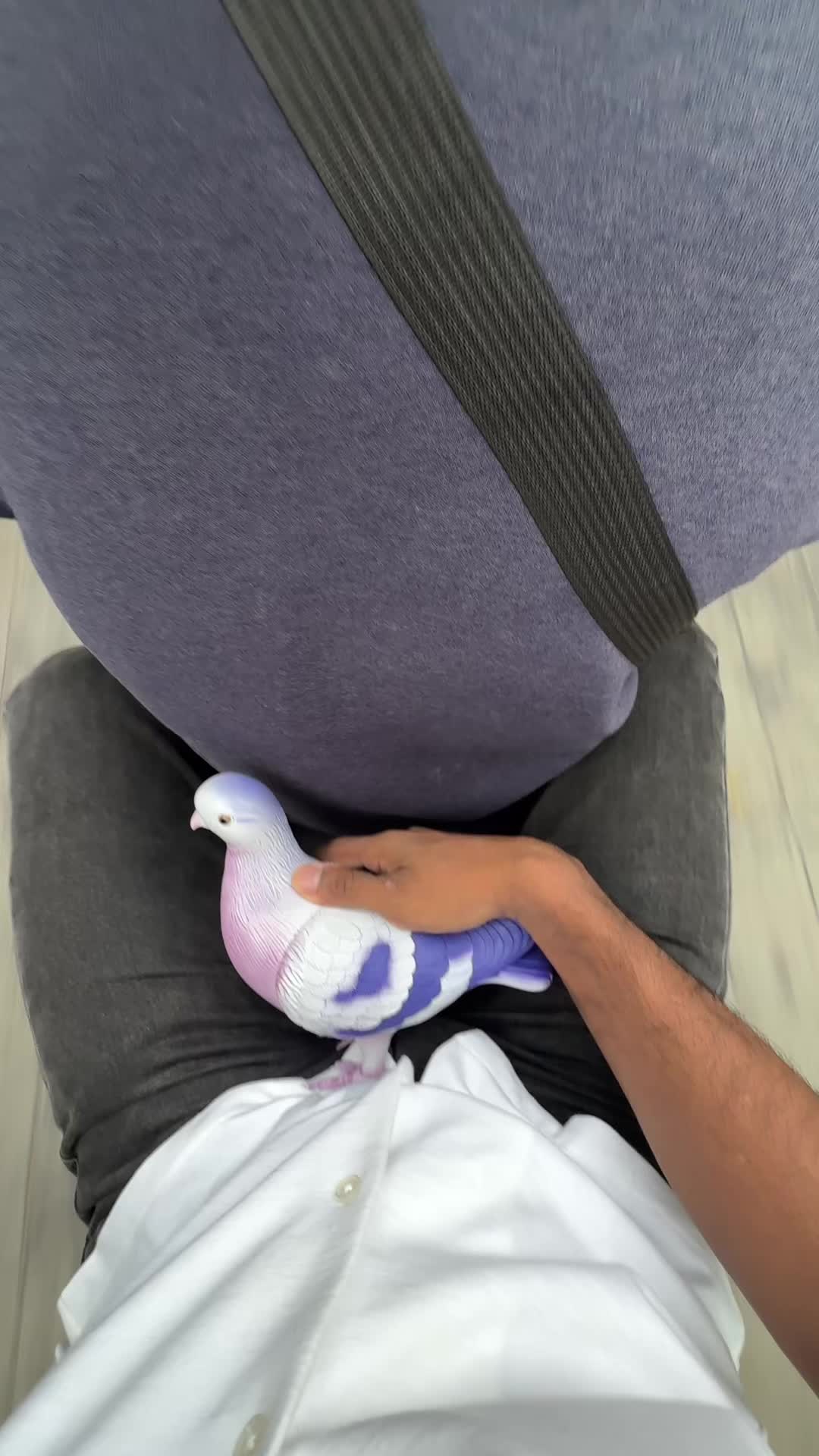 @sheearam