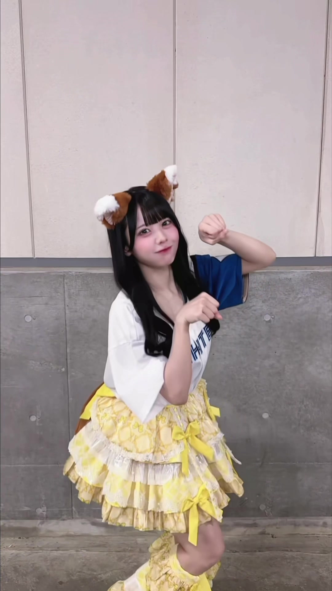 @福丸うさ