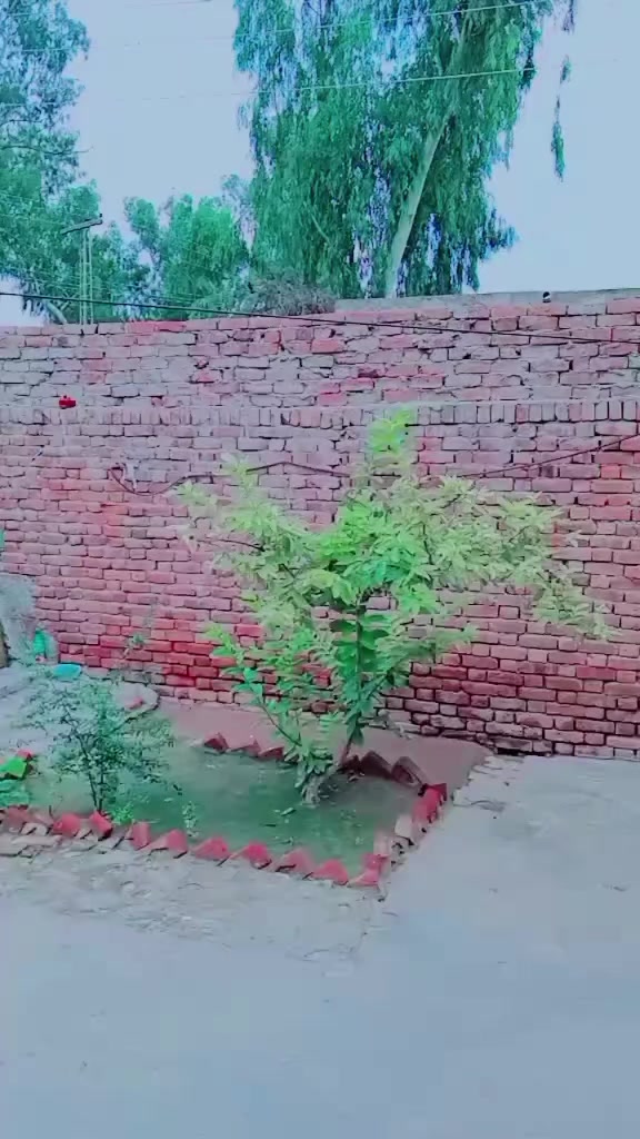 @&hearts;(✿ฺ&acute;shehzadi&hearts;(✿ฺ&acute;