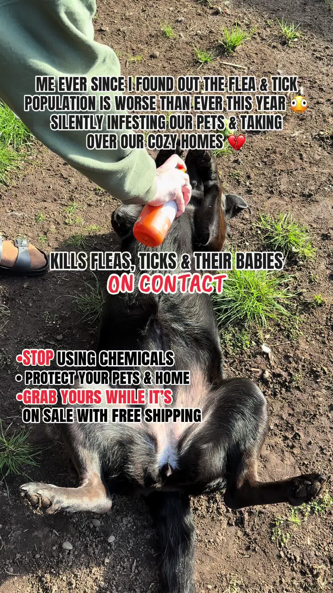 @kai•thedogmother🐾