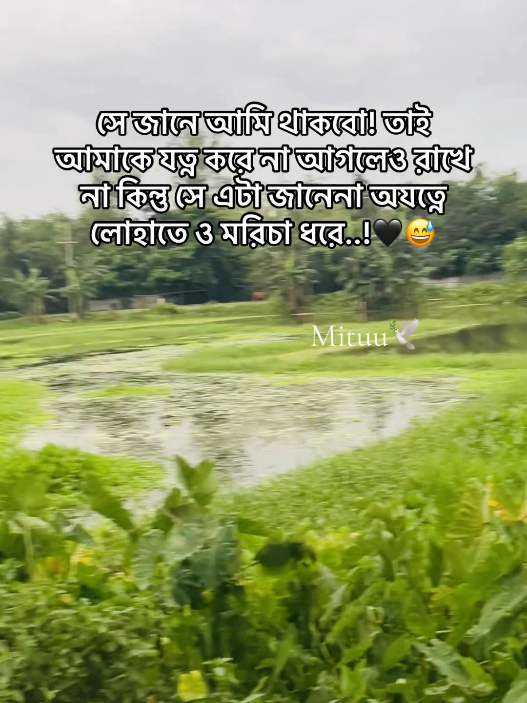 @Mituuđī¸đ
