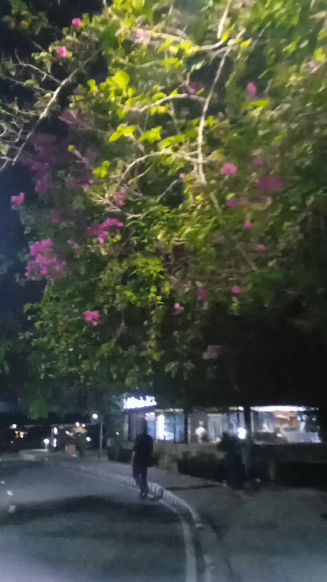 @sumaiya akter sumi