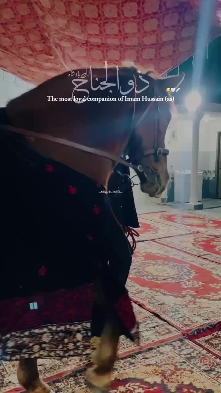 @Zuljanah