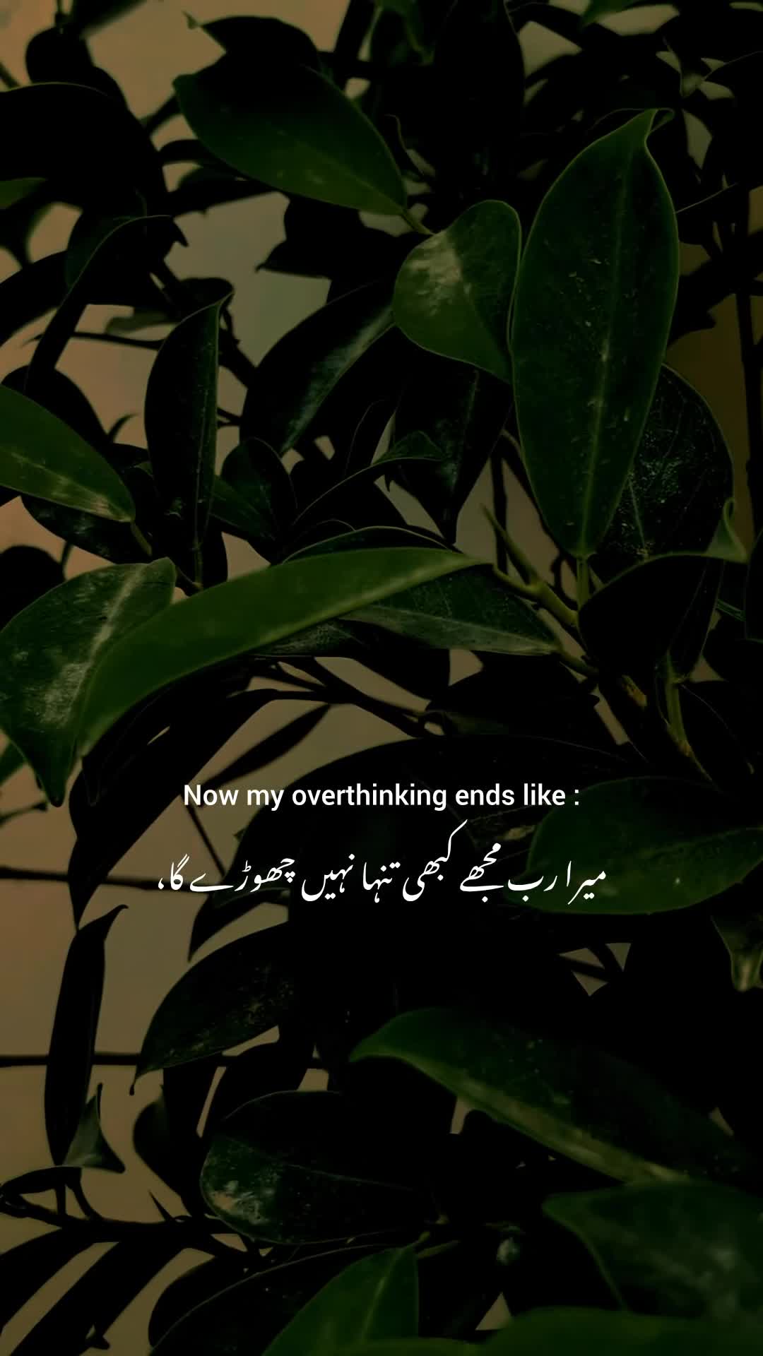 @𝙢𝙤𝙤𝙣𝙡𝙞𝙩.𝙖𝙛𝙨𝙖𝙖𝙣𝙚