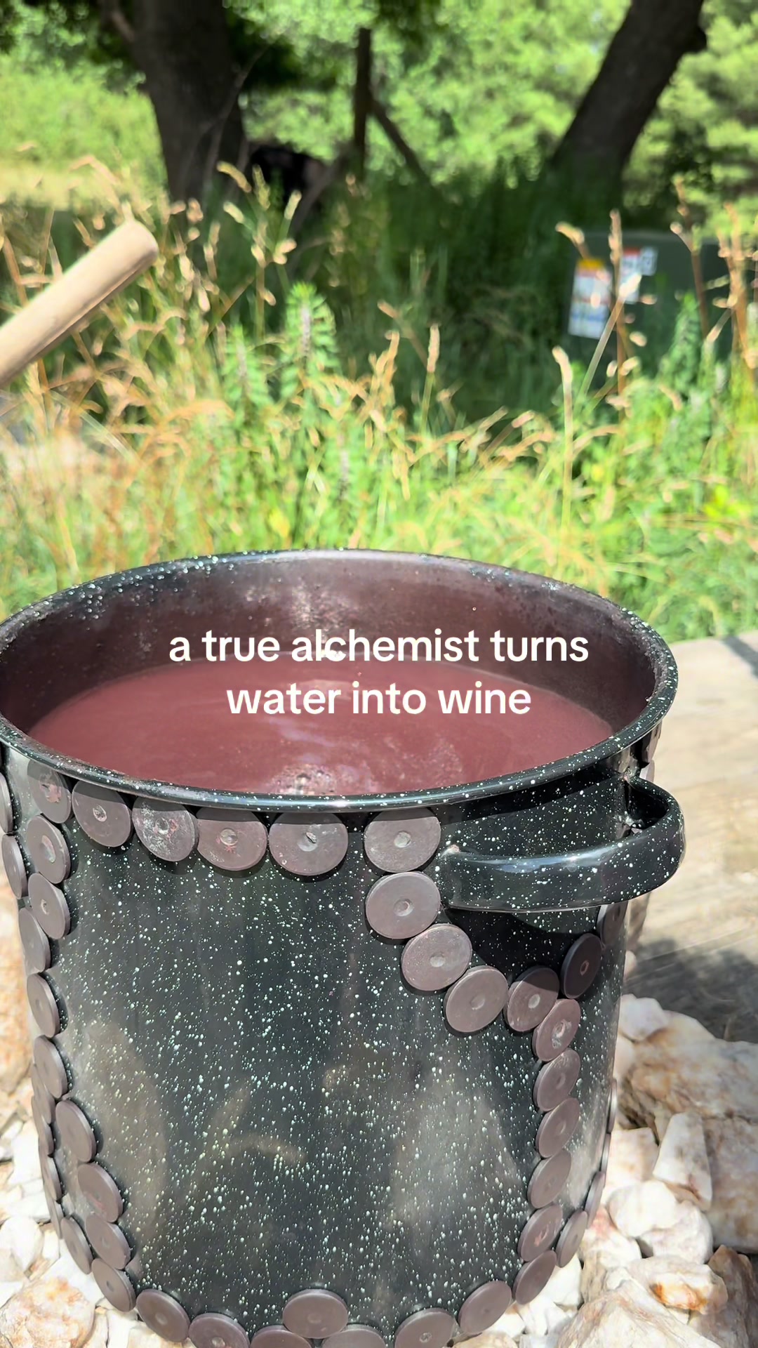 @everlivingwater