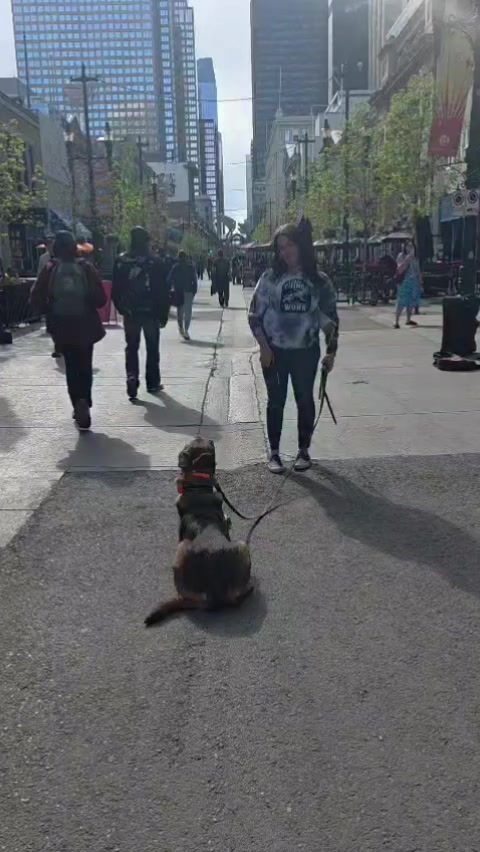 @Steph-RaisingHell.Hounds🇨🇦