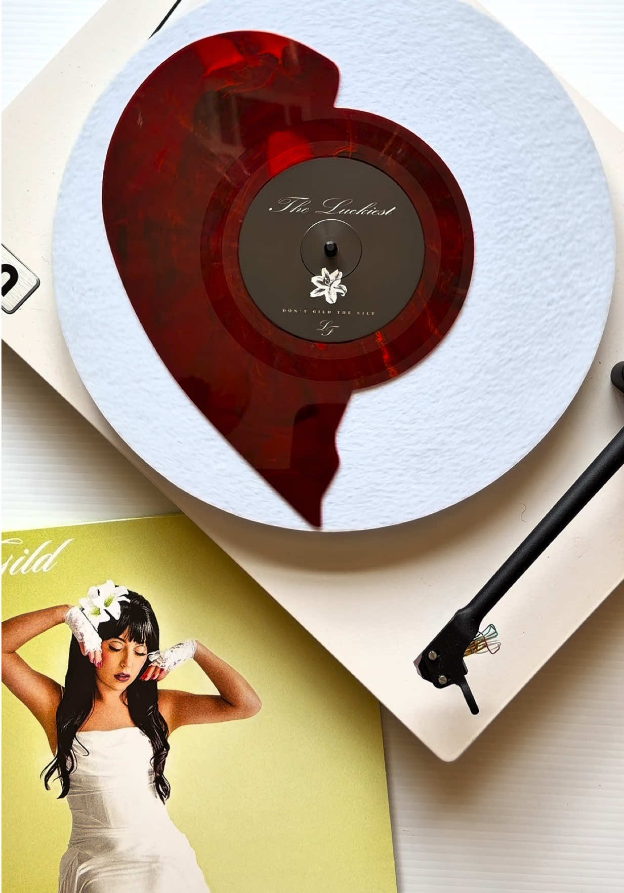 @Vertigo Vinyl
