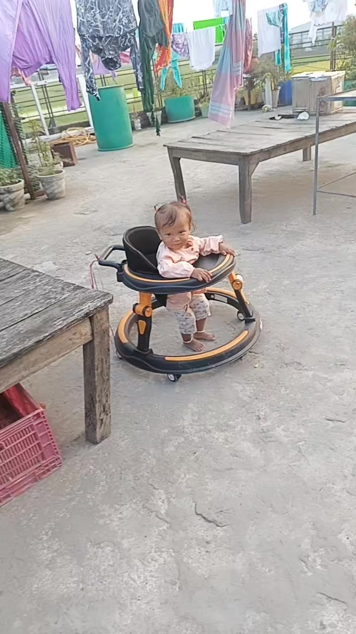 @☘️🕊️