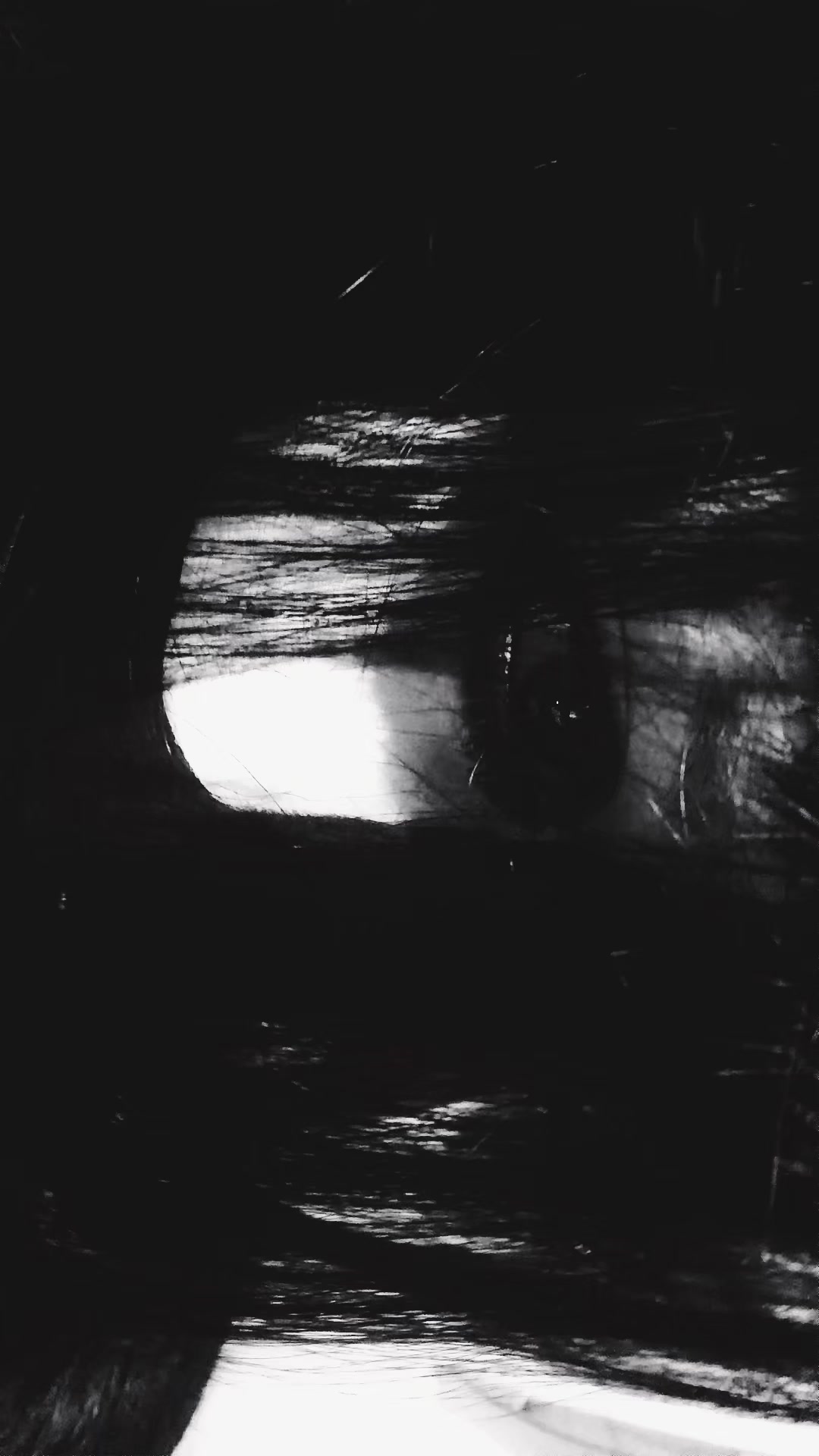 @༒︎ Mᥲ᥎ιzιᥒhᥲ ╋━