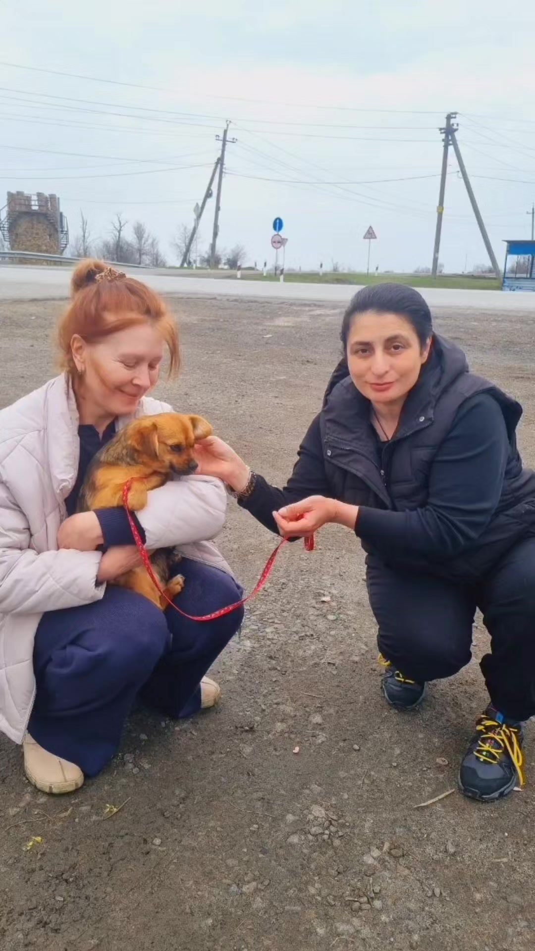 @Гаянэ Григорян
