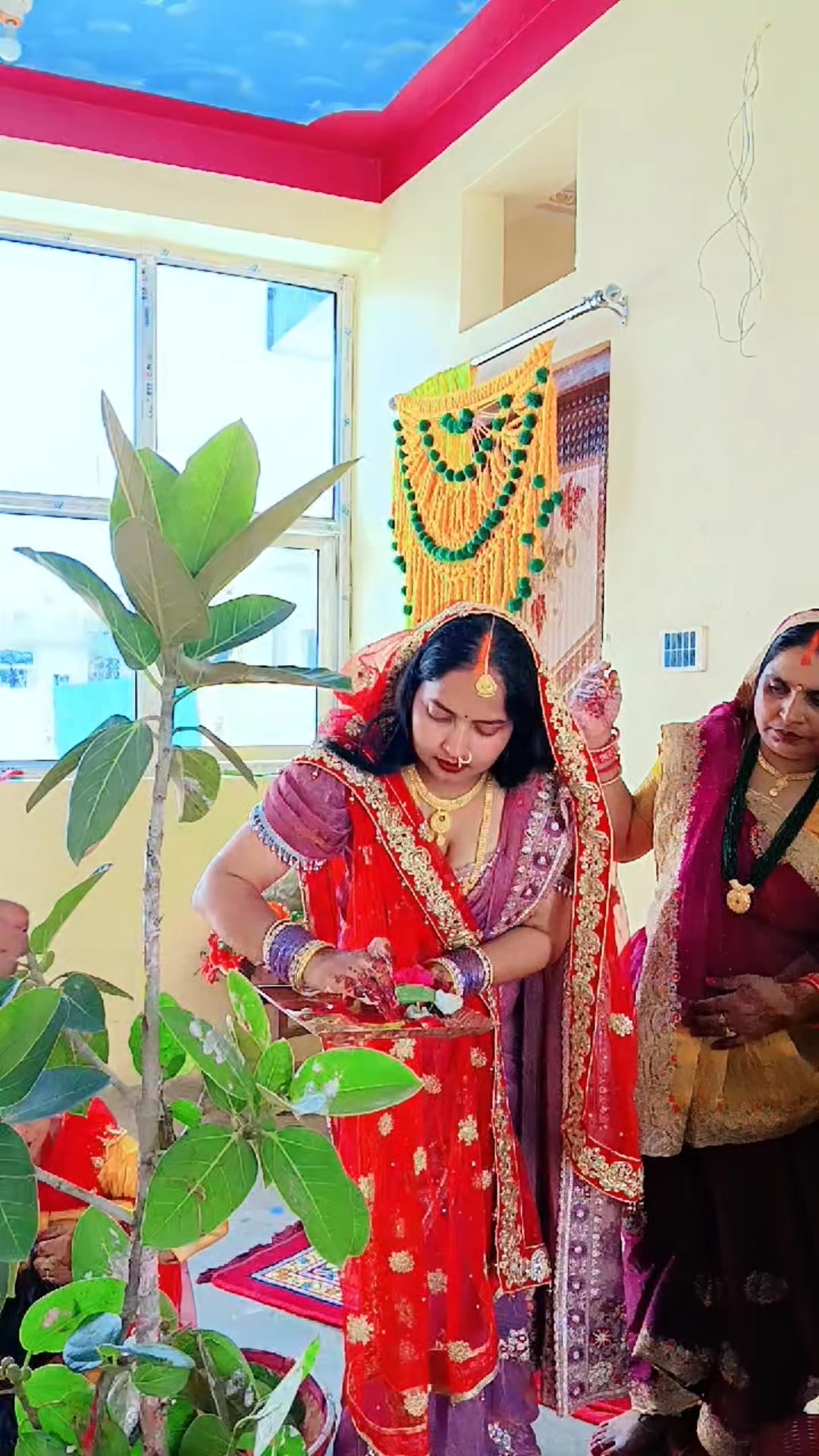 @Bandana Shah