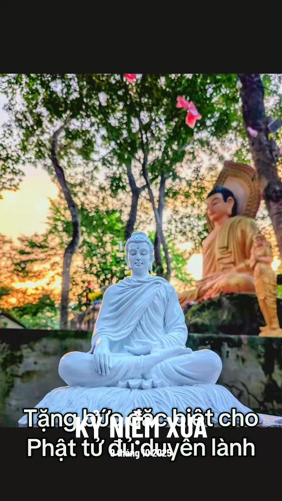 @TK Bảo &Acirc;n
