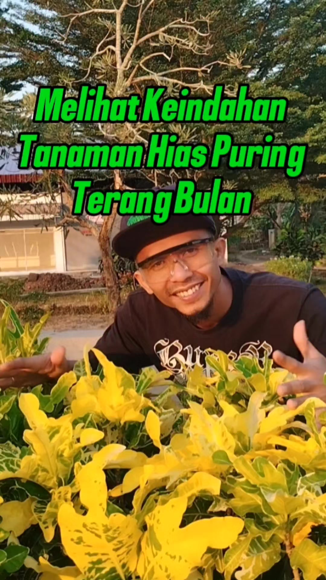 @Bukit Farming