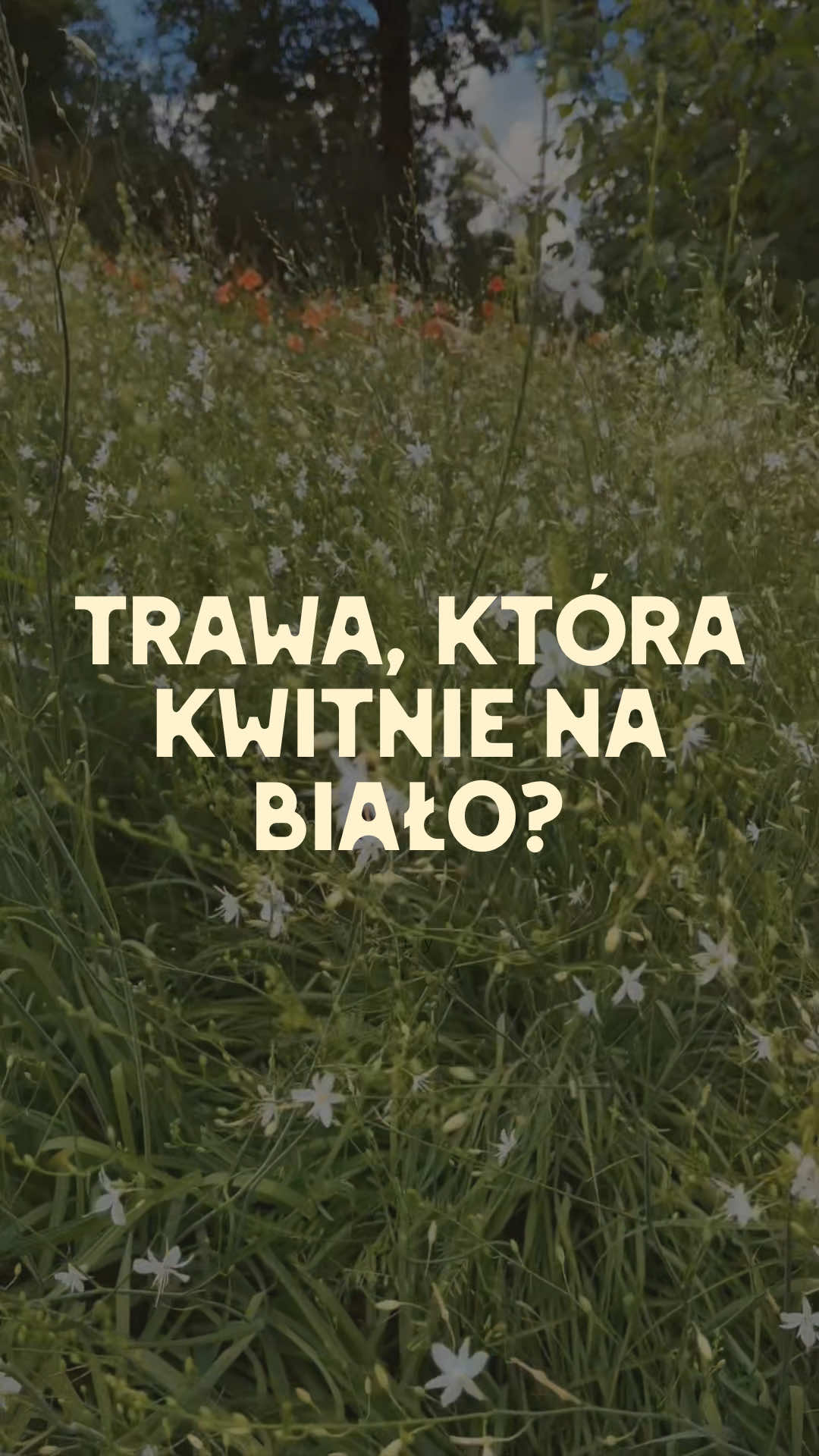 @Ogrodnik Doskonały