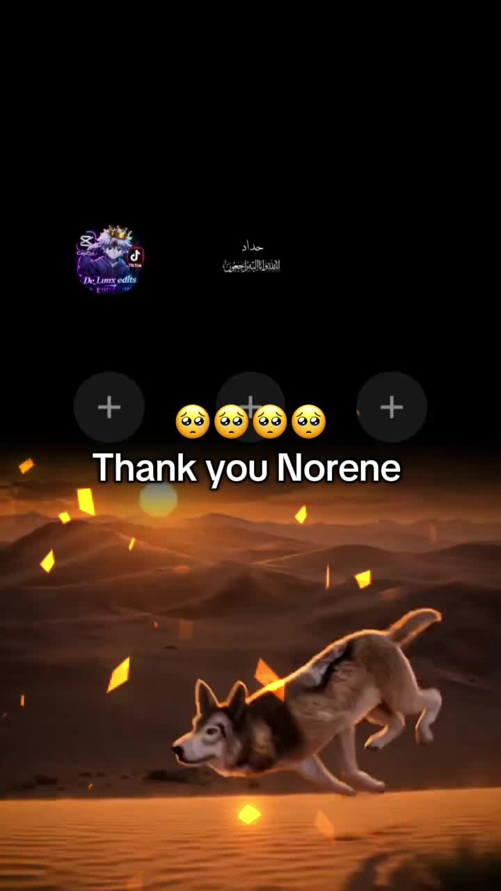 @๐ฅ ๐๐_๐๐ฎ๐ฎ๐ฑ ๐ชฝ