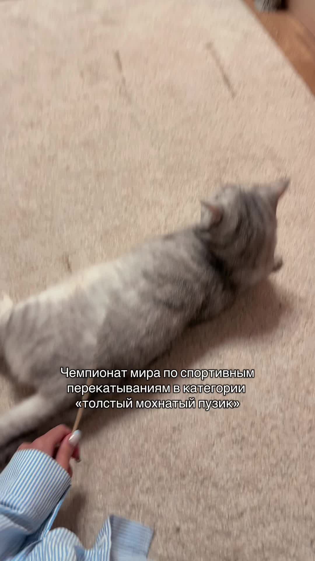 @смрнст, которая настя