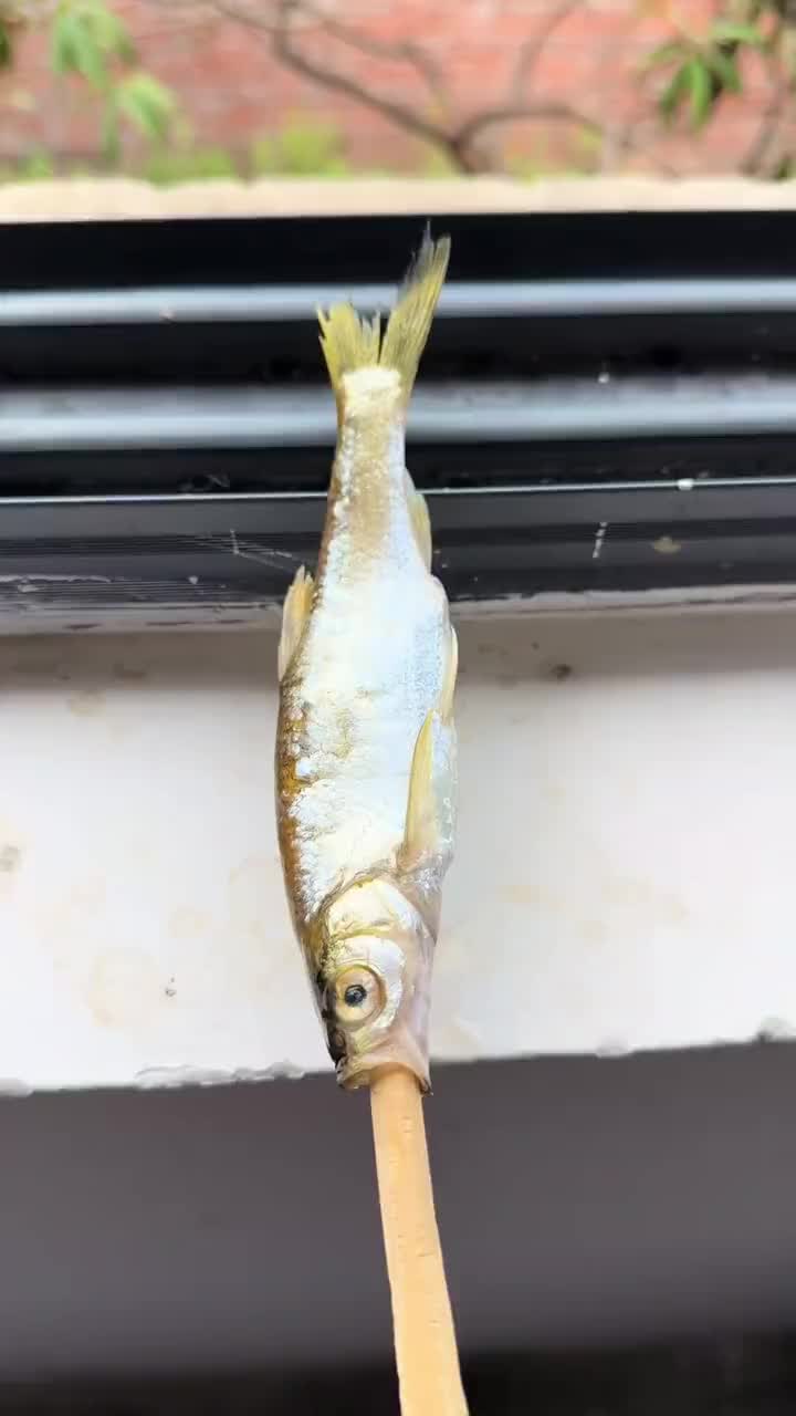 @晃晃悠悠