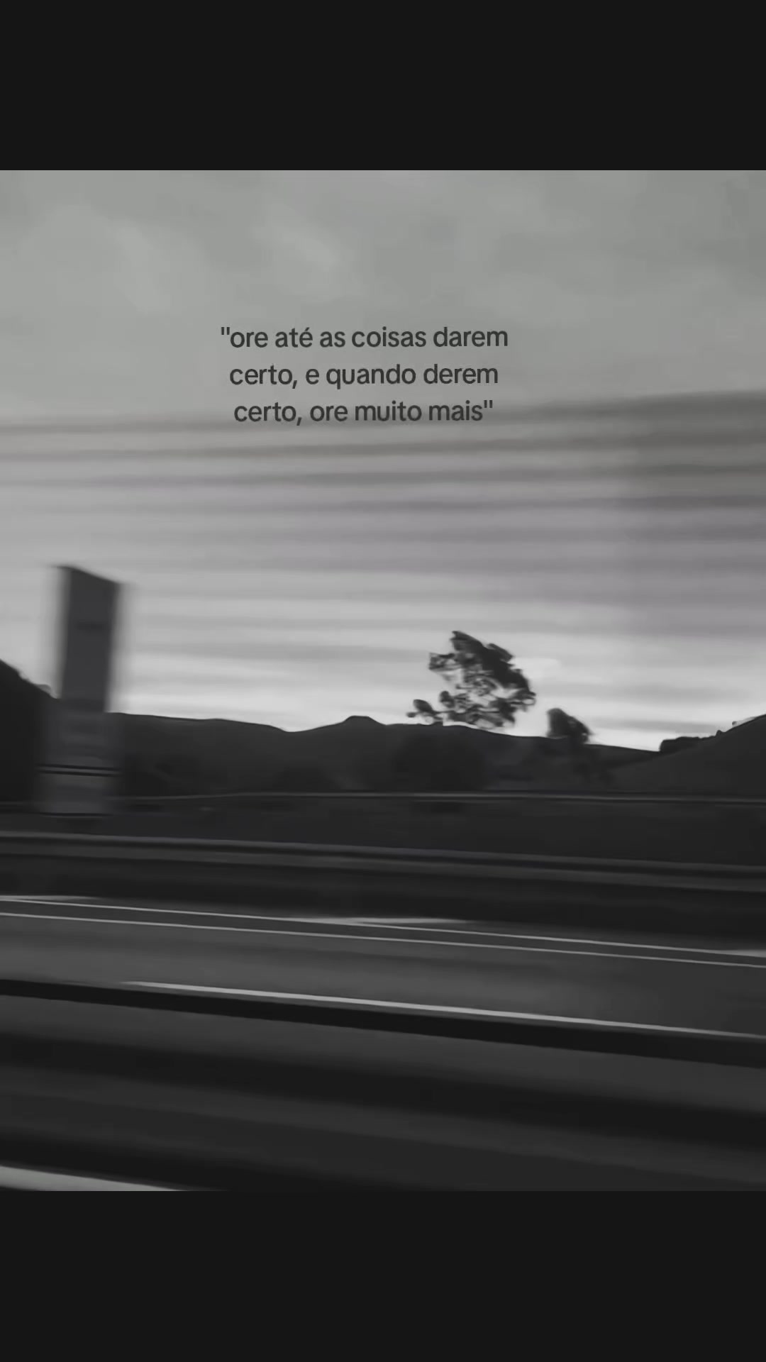 @Silva𓅓