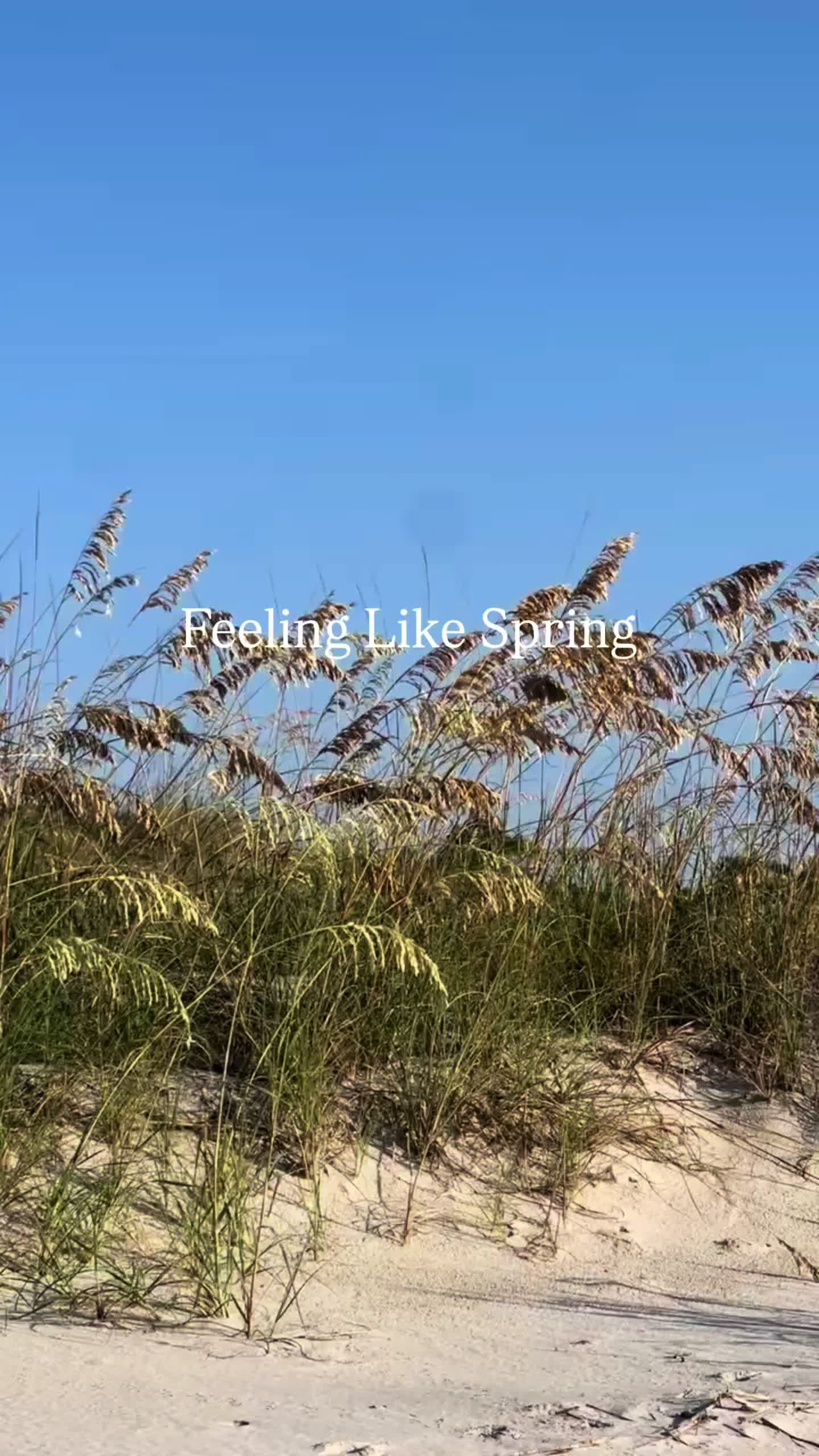 @St. Simons Island Georgia