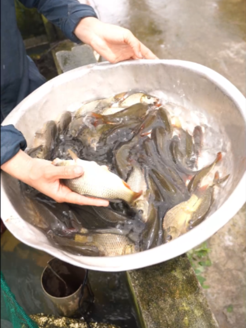 @Trại Cá Giống Quang Lâm
