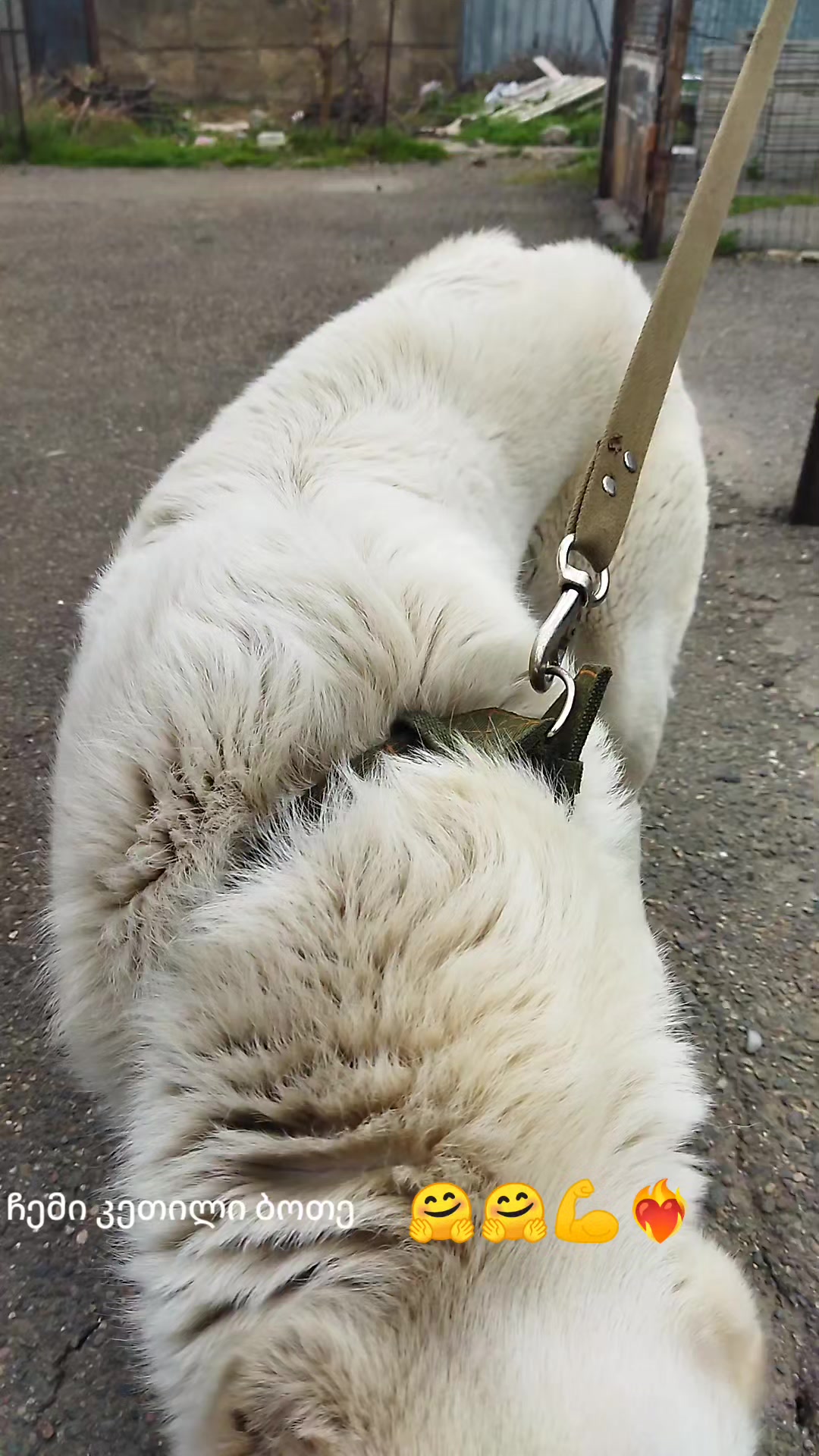 @๐ปโ๏ธโค๏ธ_nala_โค๏ธ๐ปโ๏ธ