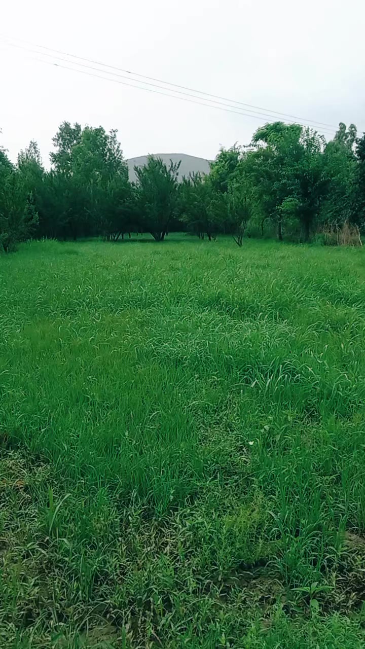 @𝐌𝐫 𝐈𝐫𝐟𝐚𝐧 𝐊𝐡𝐚𝐧