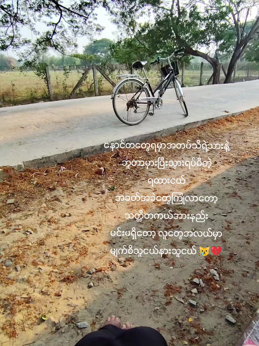 @Zuu Zue