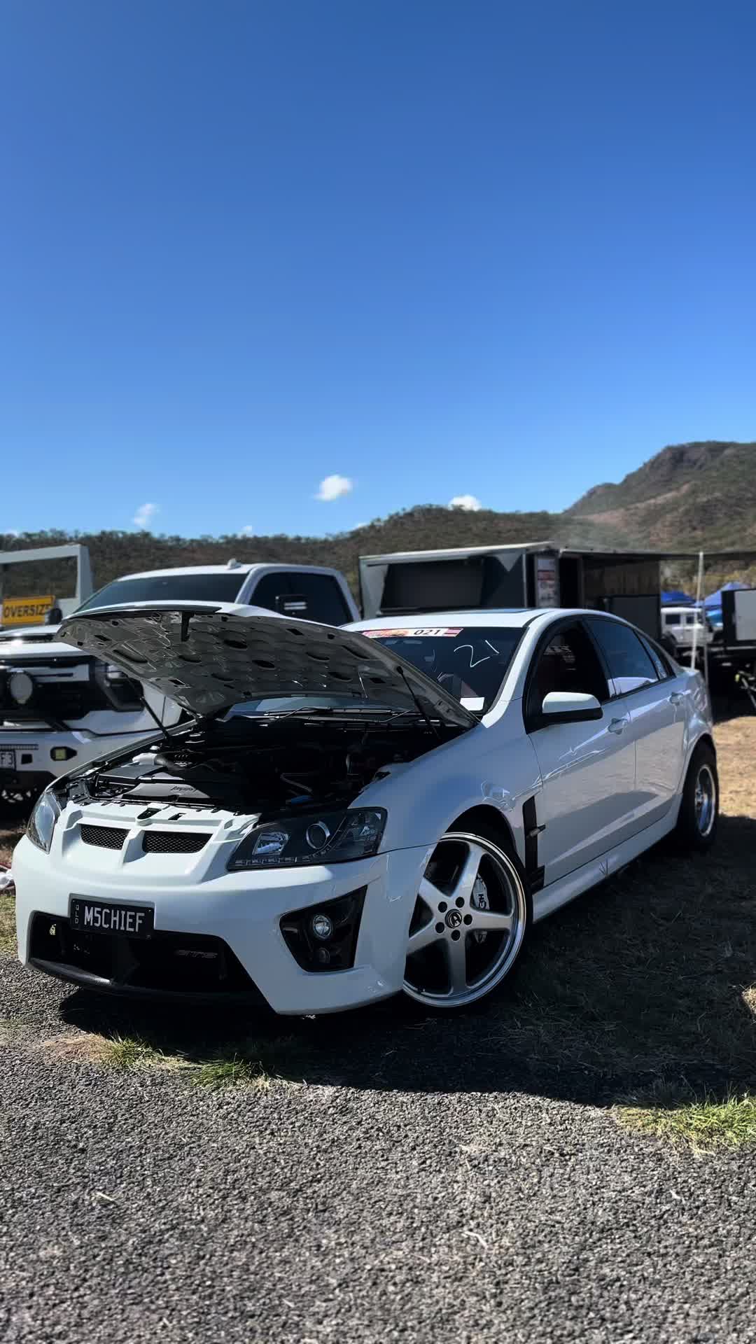 @TORQ MEDIA 🦩