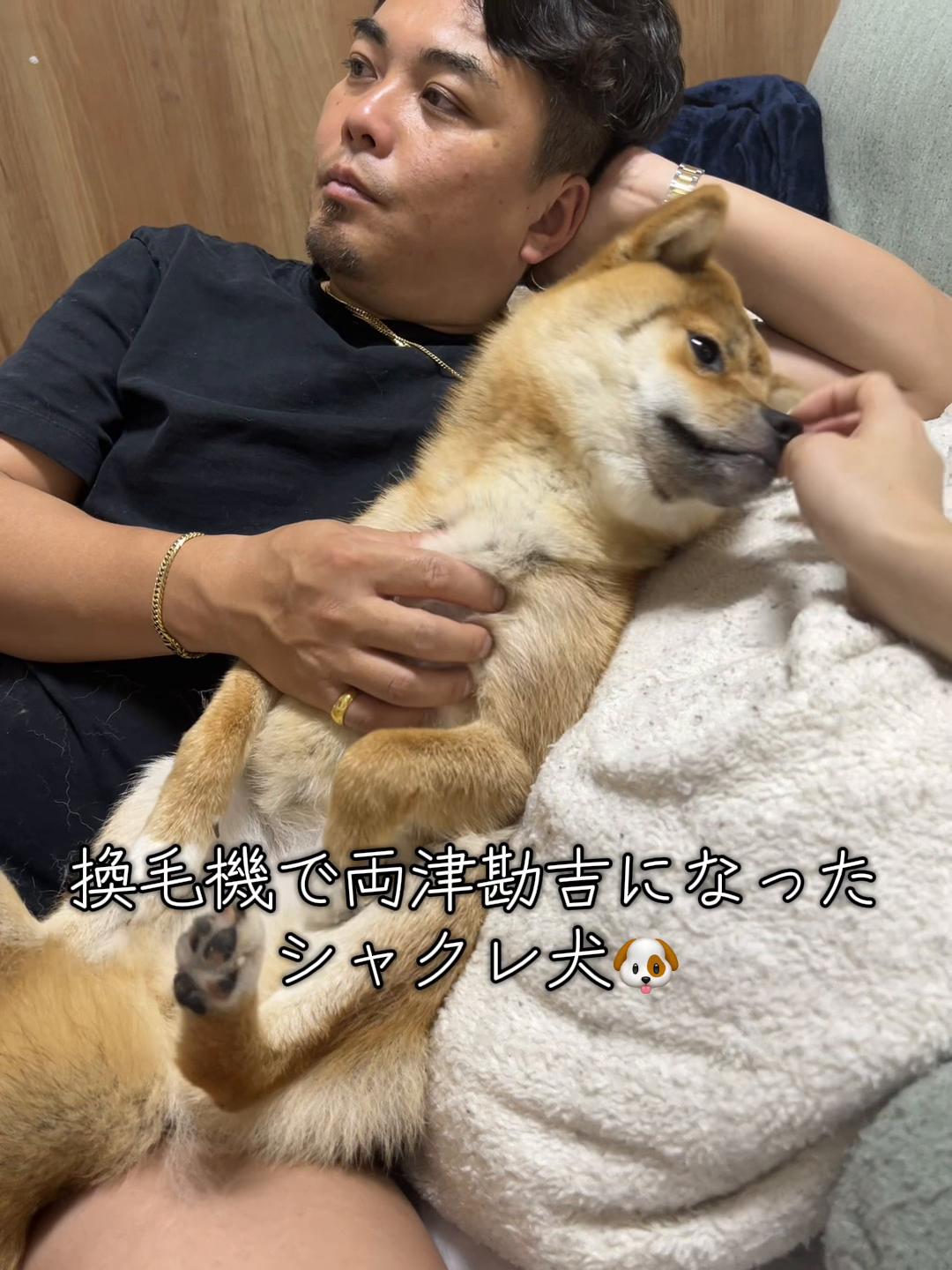 @シャクレ犬
