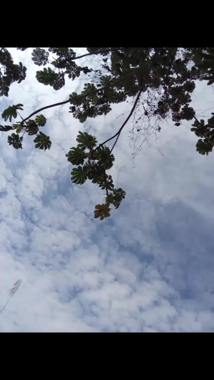 @🌻Eli Juárez🌻