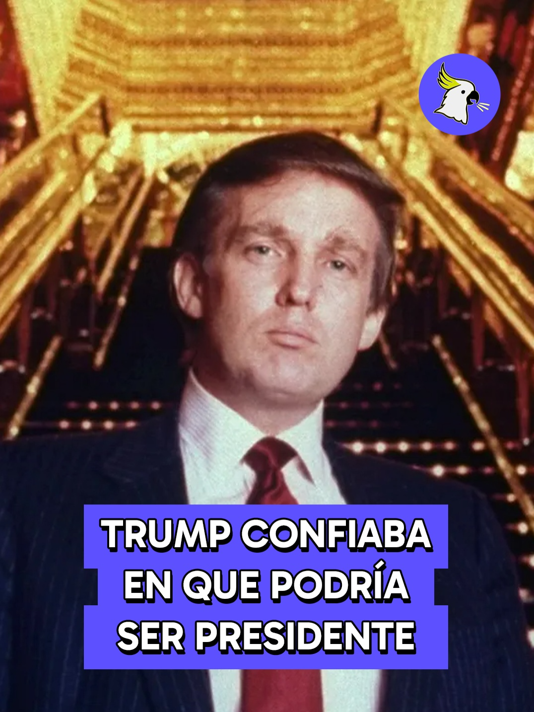 @Pol&iacute;critico