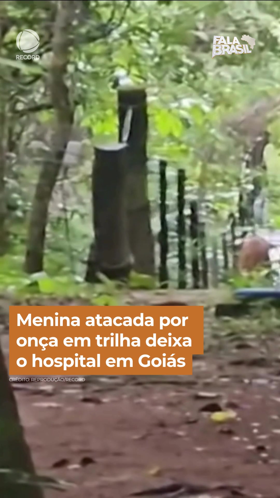 @Fala Brasil