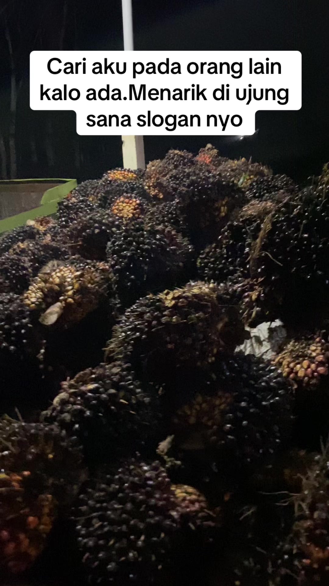 @Pajrul Pala