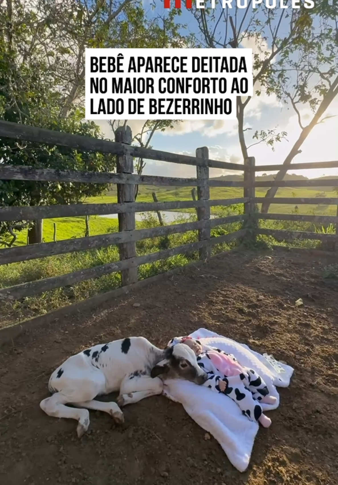 @Metrópoles Oficial